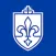 Saint Louis University