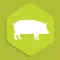 mHealth Swine