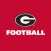 UGA Stickers