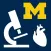 Histology - Cardiovascular and Lymphatic System