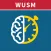 WashU Med Stroke MD