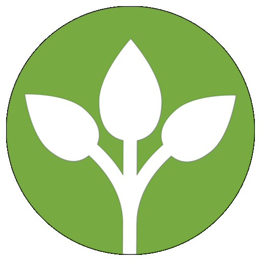 ForestMan