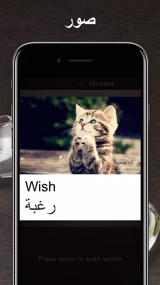الترجمة - الإنجليزية إلى العربية الترجمة Screenshots