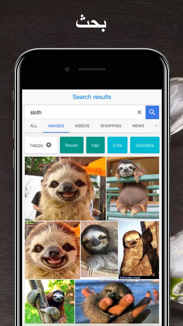الترجمة - الإنجليزية إلى العربية الترجمة Screenshots