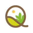 Qampo