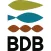 GVA BDB