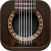 Real Guitar - Electronic Guitar