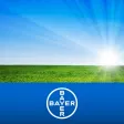GazdaInfo Bayer Termékkat.