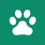 Dog walk, pet care