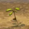World Seed RPG