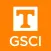 Global Supply Chain Institute