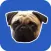 Farting Pug Pro