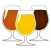 Beer Tasting Guide