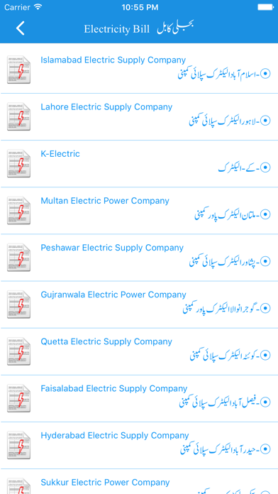 Electricity Bill Screenshots