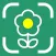 Flower Identifier: ID Scanner