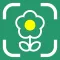Flower Identifier: ID Scanner