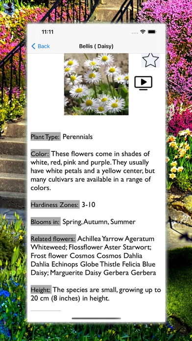 Flowers Dictionary with Images Screenshots