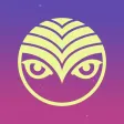 Shambhala Music Festival