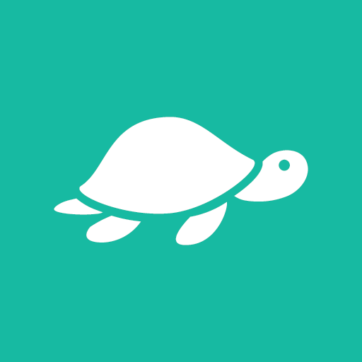 We Spot Turtles!