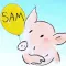 The World Of Sam