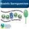 BusInfo Sarreguemines