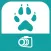 Les chiens en photos