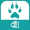 Les chiens en photos