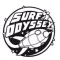 Surf Odyssey