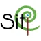 Siti