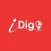 iDig System