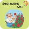 Enig'maths CM1