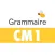 Grammaire CM1