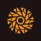 Solar.IO