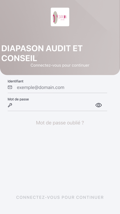 Zrzuty ekranu DIAPASON AUDIT ET CONSEIL
