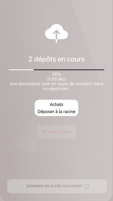 Zrzuty ekranu DIAPASON AUDIT ET CONSEIL