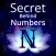 Numerology - Numbers & You
