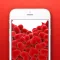 Картинки на айфон. Обои для iPhone скачать бесплатно