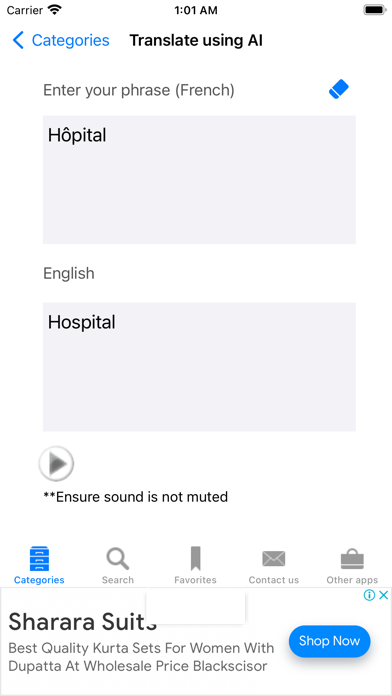 Tangkapan layar French to English using AI