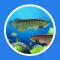魚樂圈