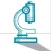 Nematode Classification