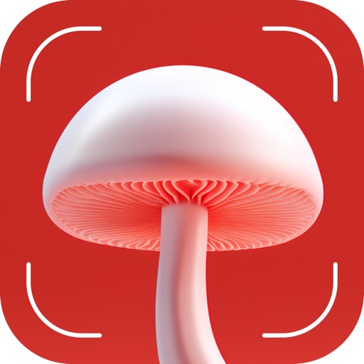 Mushroom Identifier - Fungi ID Mushroom Identifier - Fungi ID