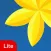 Gallery Lite Photo Video Vault