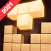Wood Block Puzzle Fill