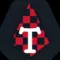 Tafl Champions: Ancient Chess