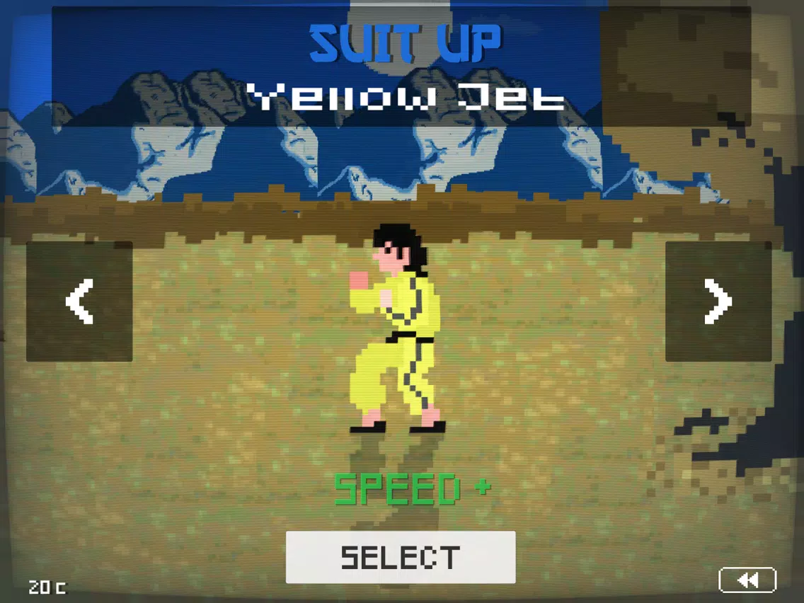 Screenshot di Dragon Fist - Kung Fu Showdown iPad 