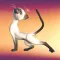 Toon Cat