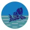 Fish Pond Brochure