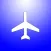 What the plane