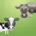 Cows & Bulls.