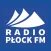 Radio PŁOCK FM